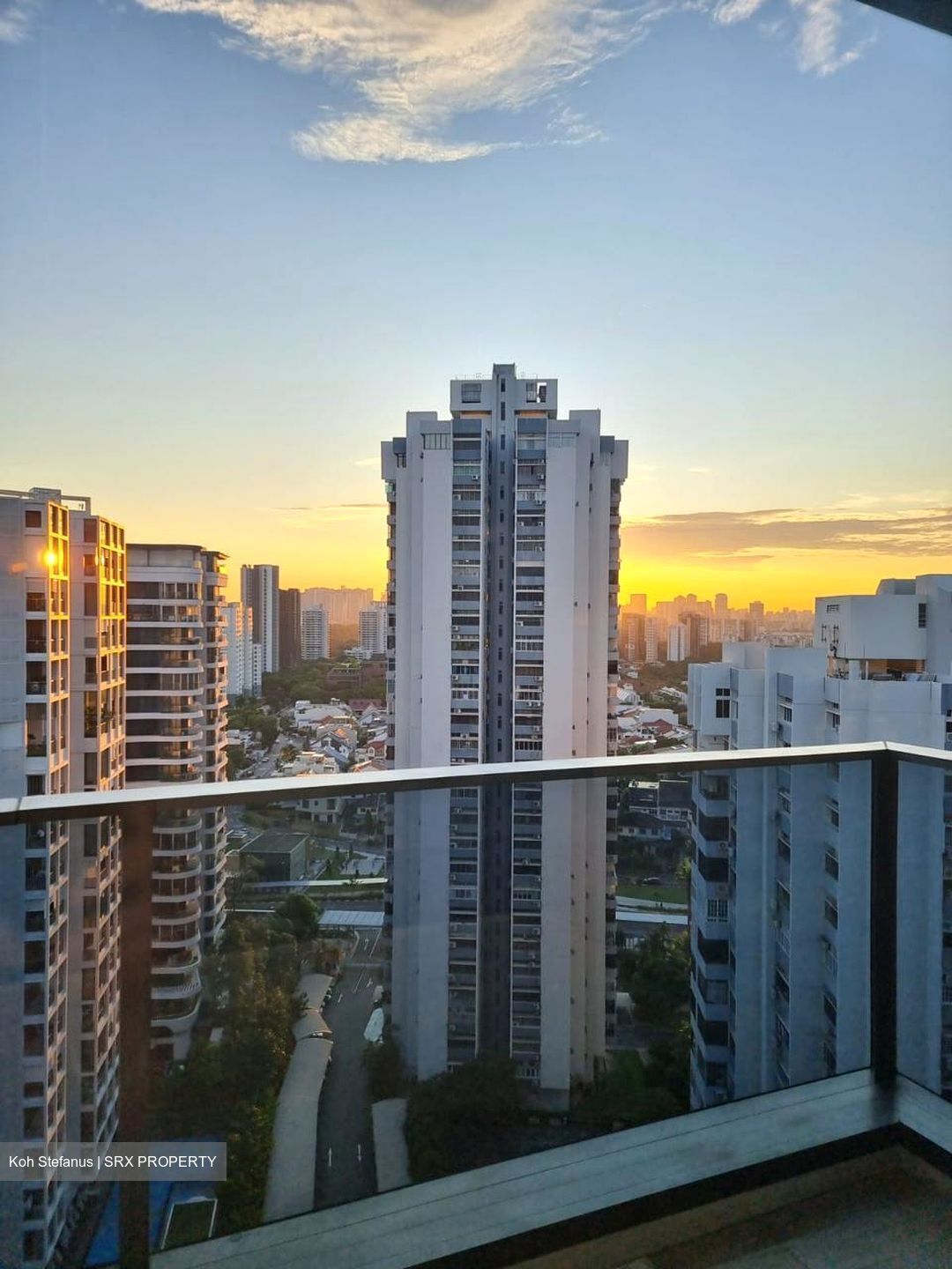 Amber Park (D15), Condominium #487223151